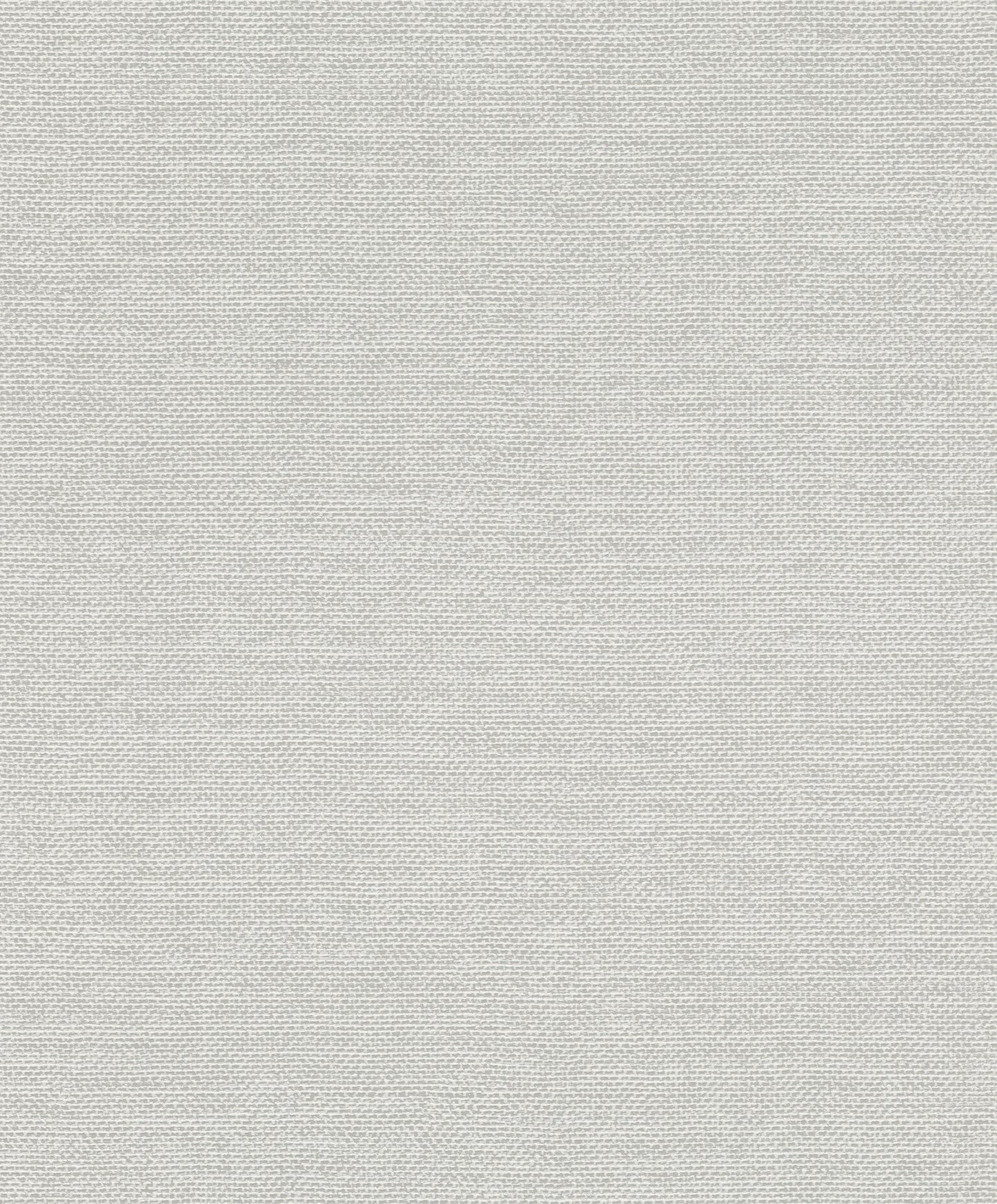 Simple Plain Texture Grey