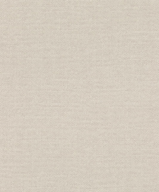 Plain Texture Beige