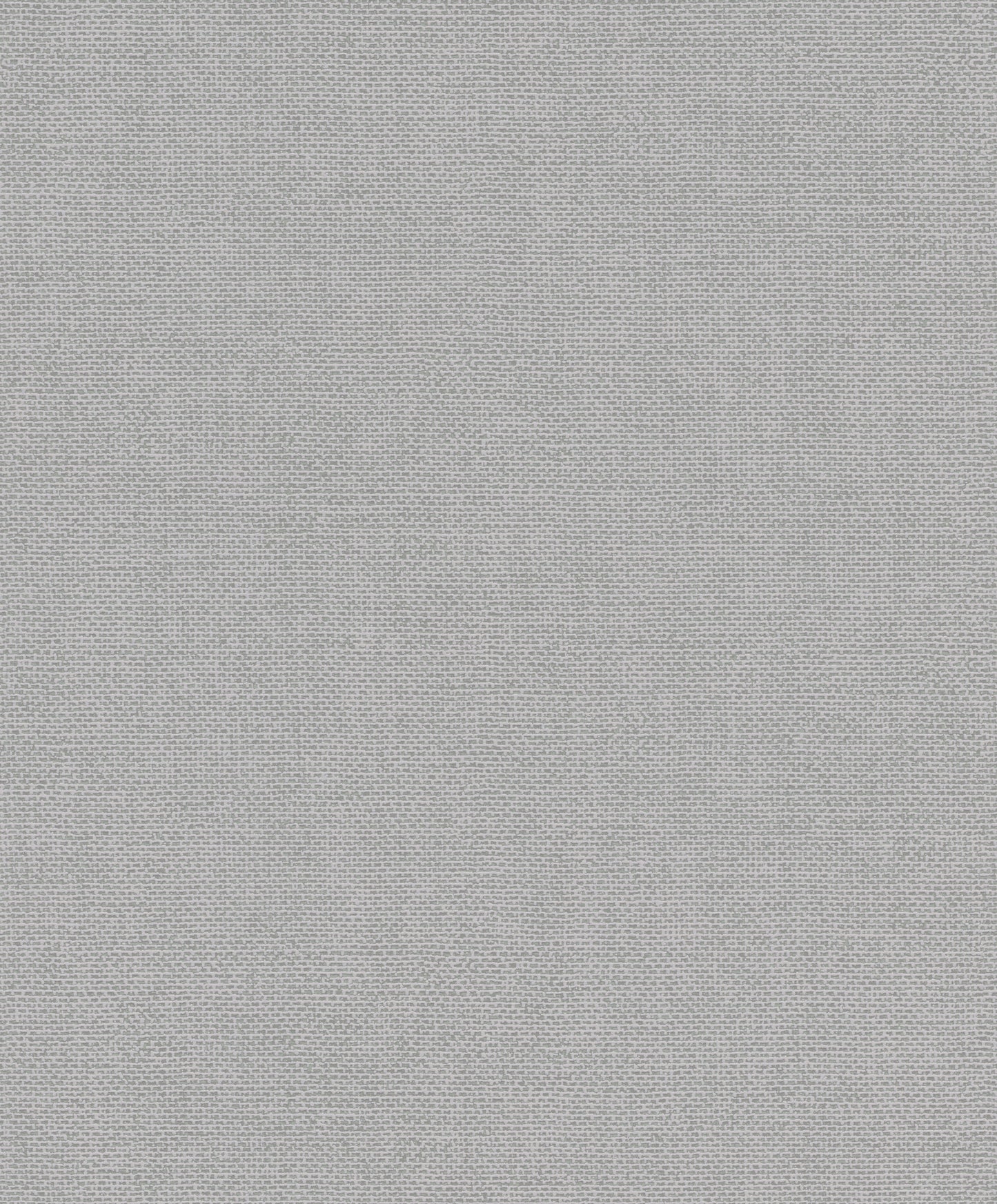 Plain Texture Silver