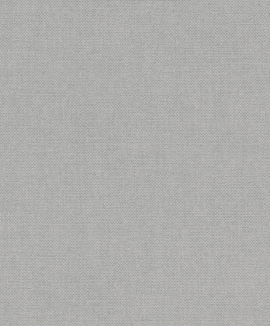 Plain Texture Silver