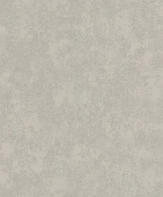 Plaster Plain Grey