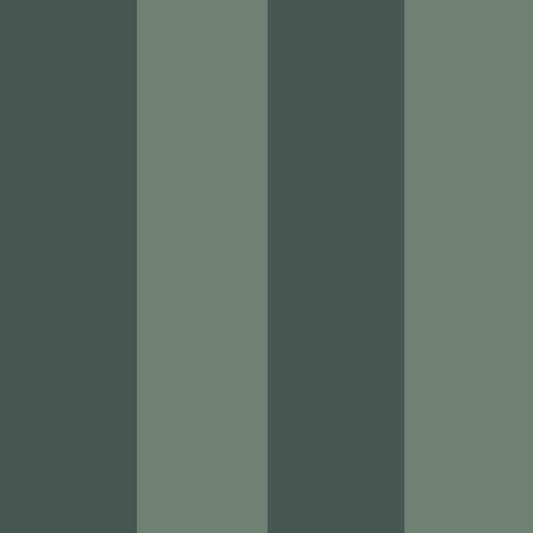 Fascia Green Stripes