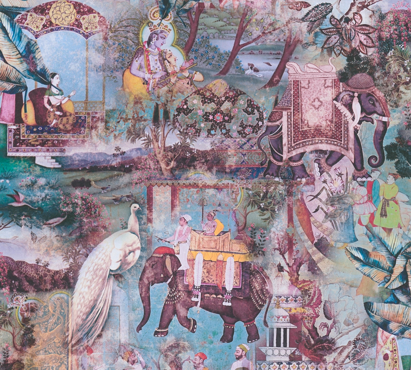 Wonder case Turquoise