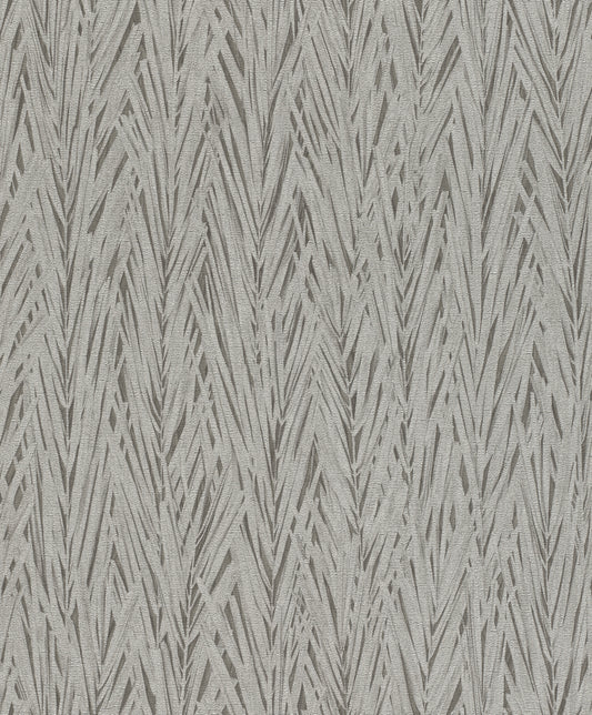 Bajra Dark Grey