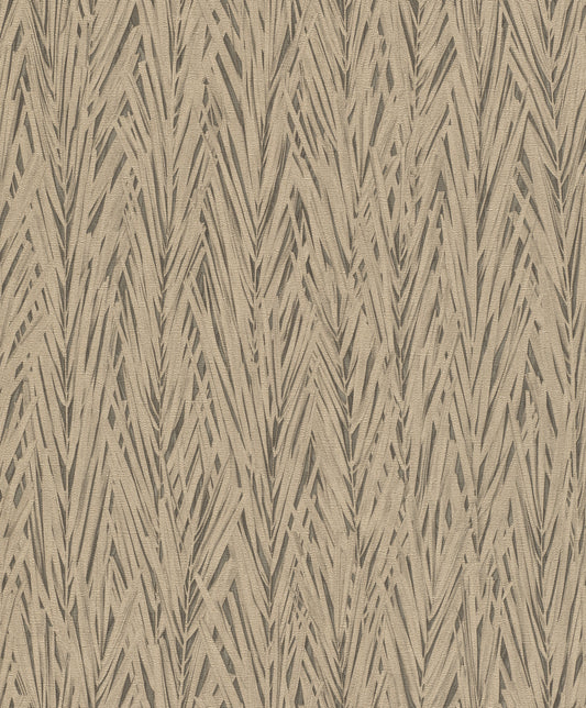 Bajra Brown