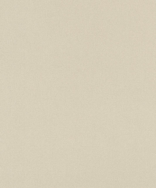 Texture Plain-Beige