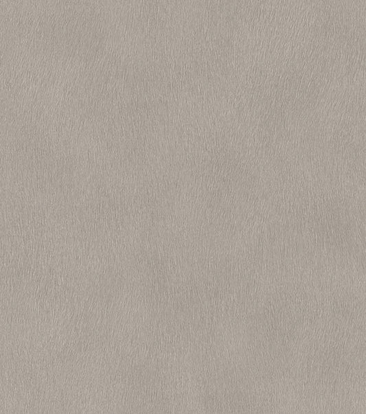 Skin Textured Grey-Taupe