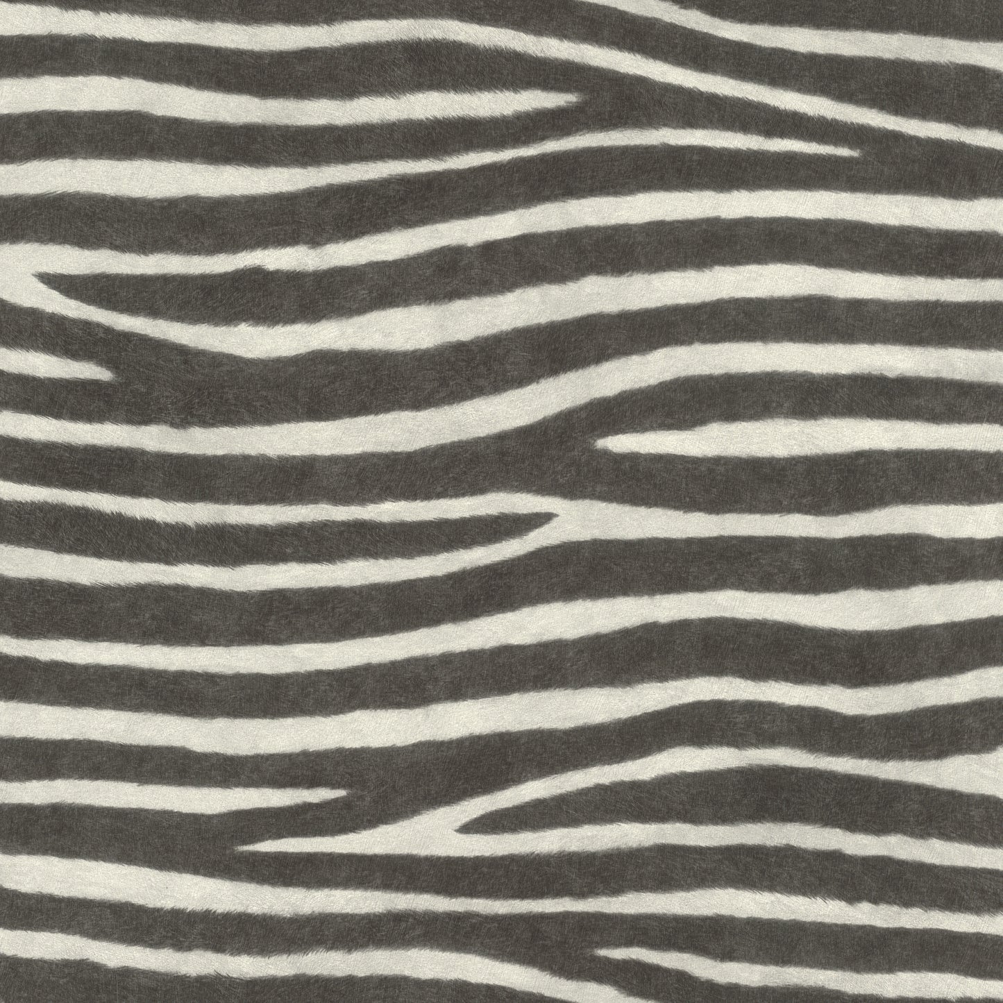 Zebra Skin Black & White