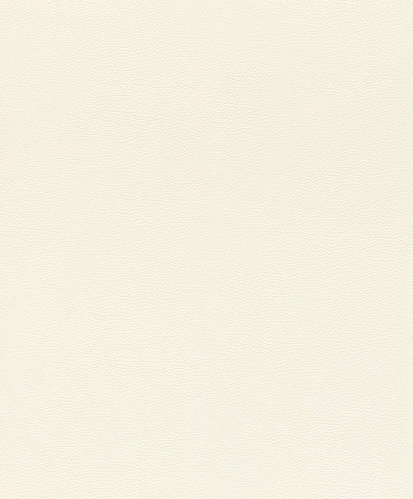 Leather Plain Texture White