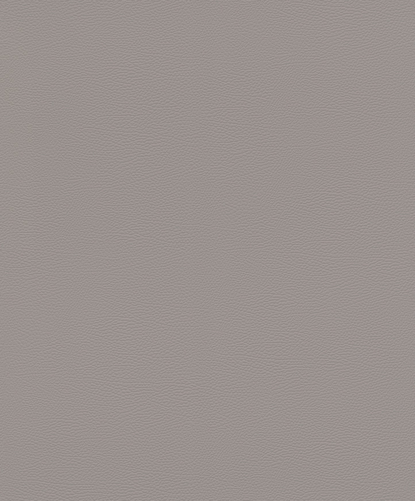 Leather Plain texture Grey
