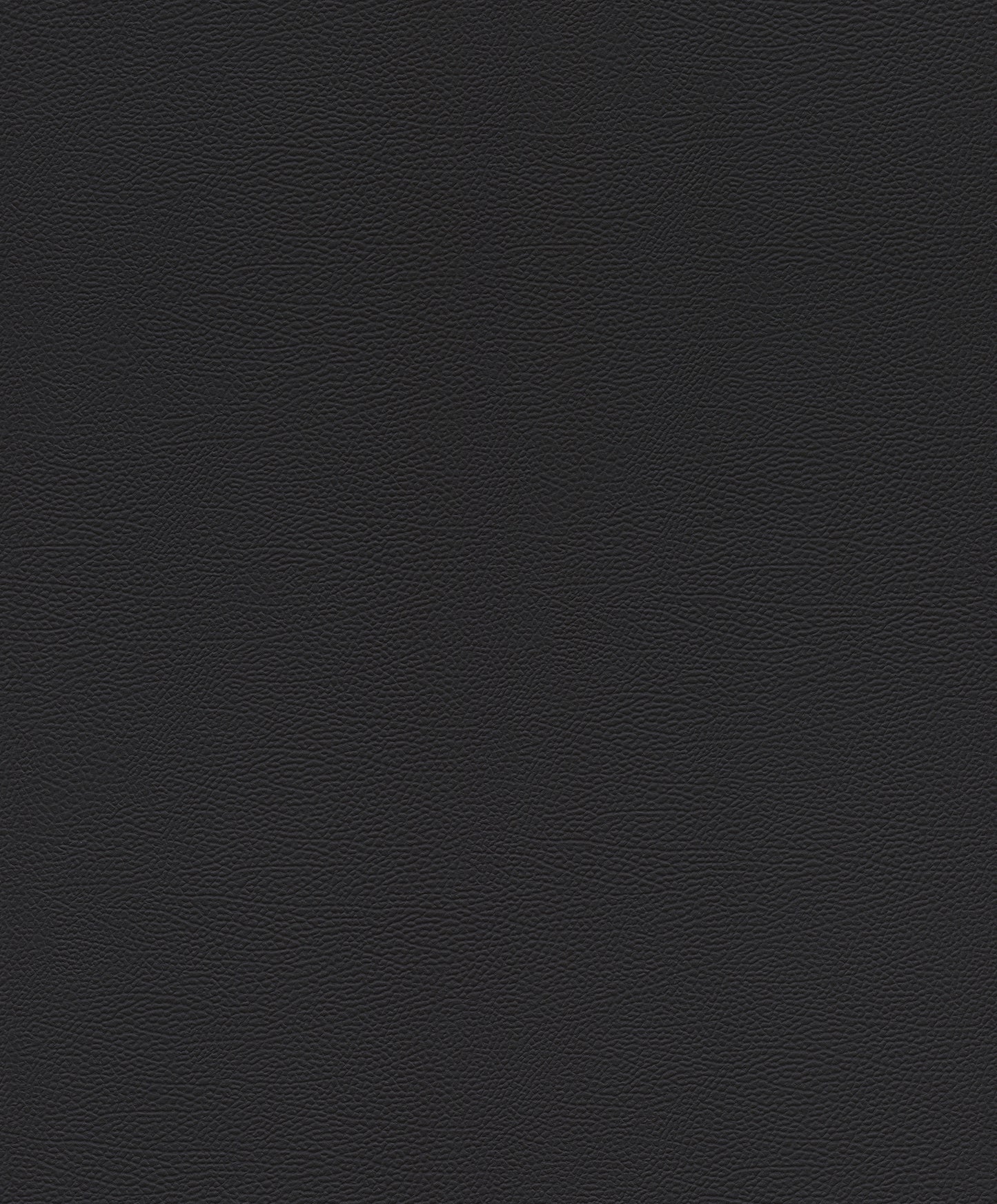 Leather Plain texture Black