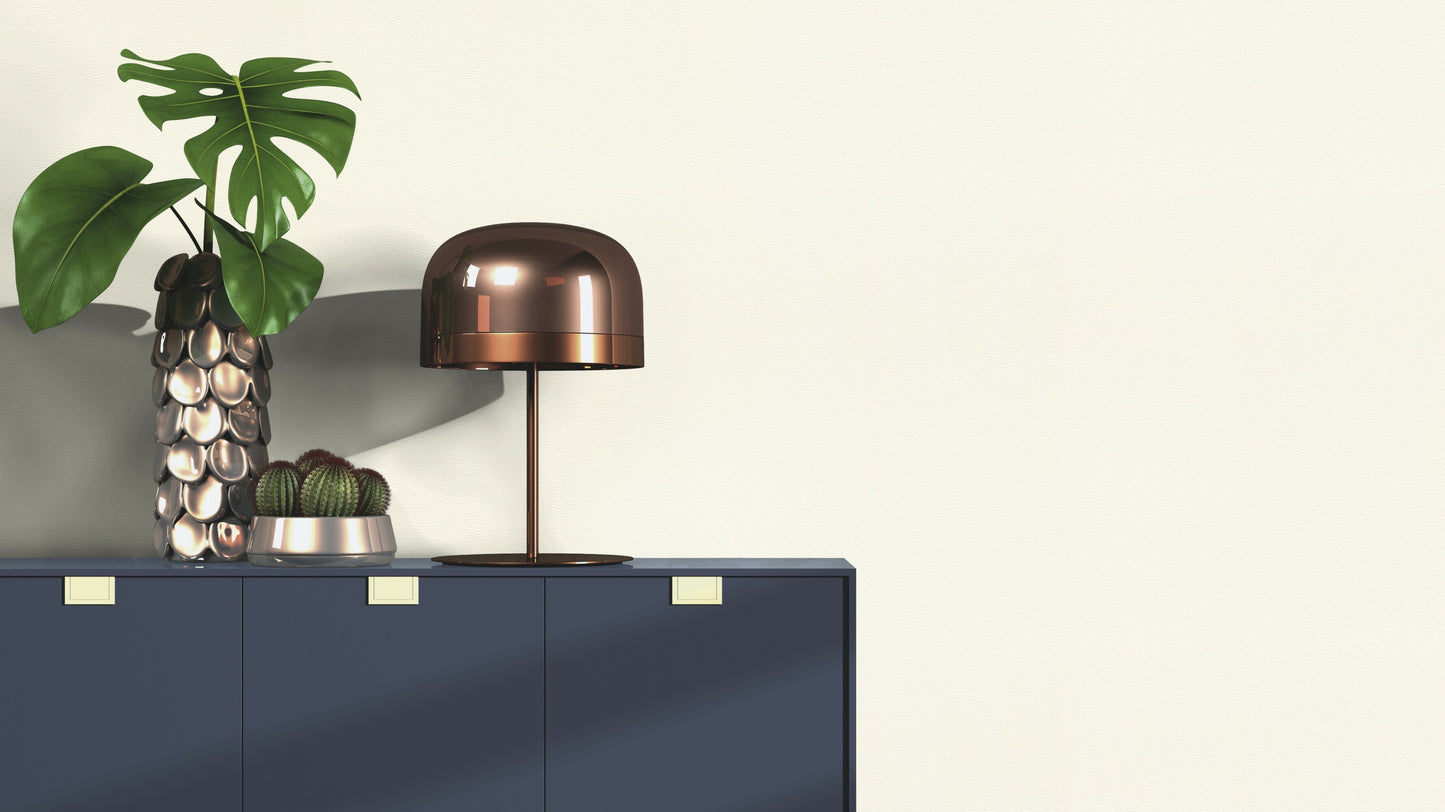 Leather Plain Texture White