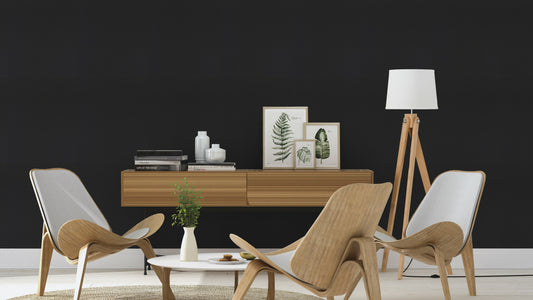Leather Plain texture Black
