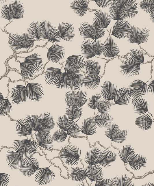 Cone Pine Black
