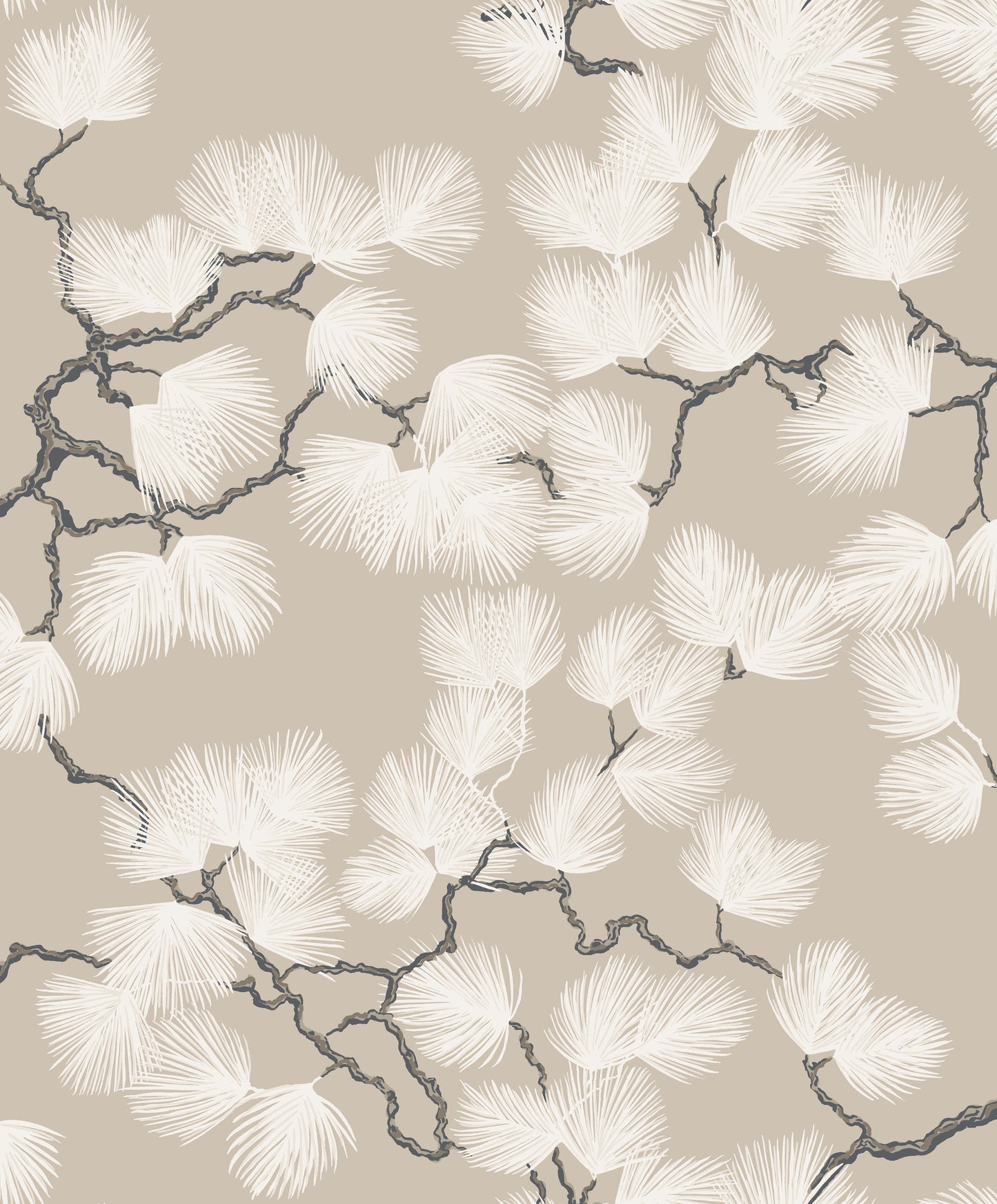 Cone Pine Light Brown-White