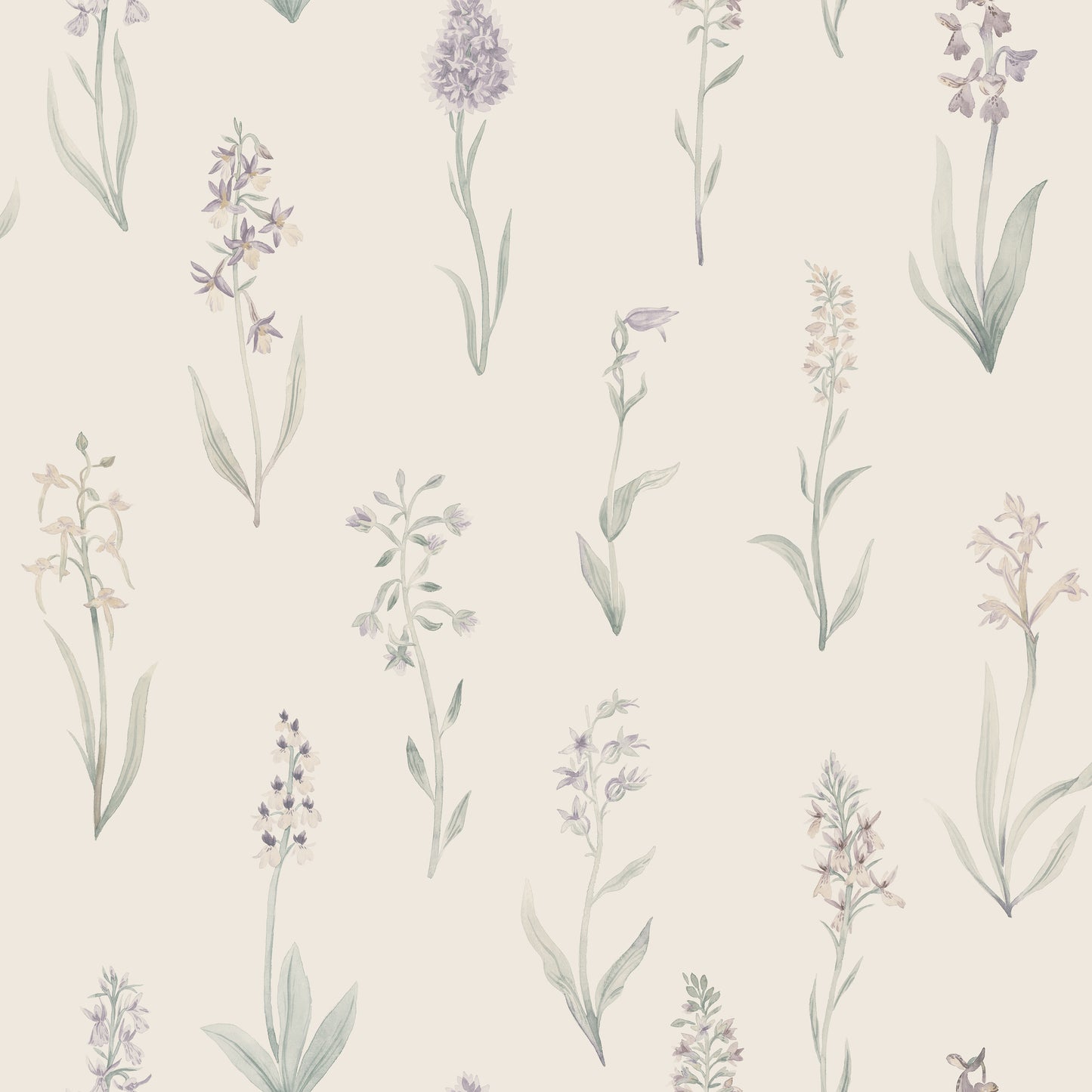 Alma Lilac