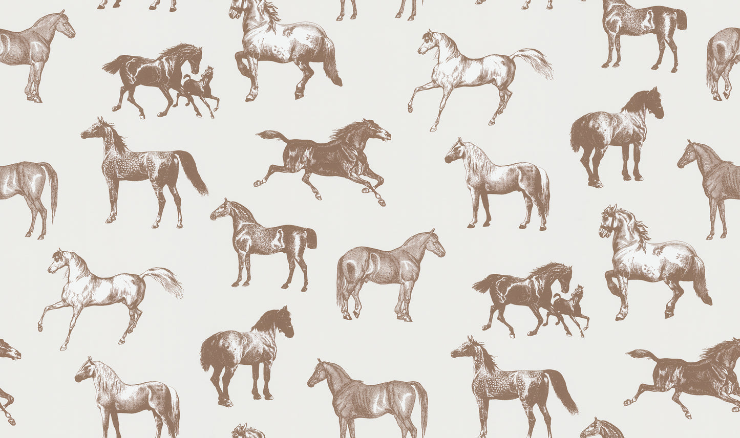 Colette Horses Brown