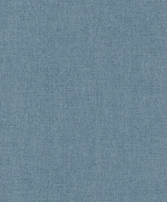 Plain Texture Blue