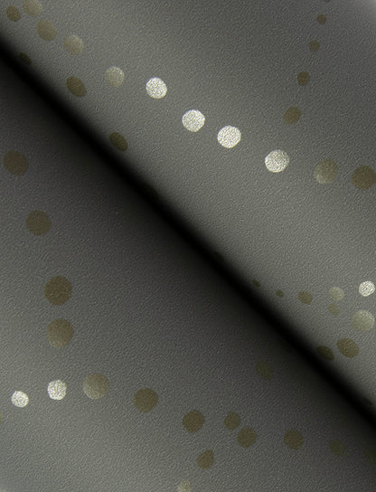 Alcott Charcoal Dotted