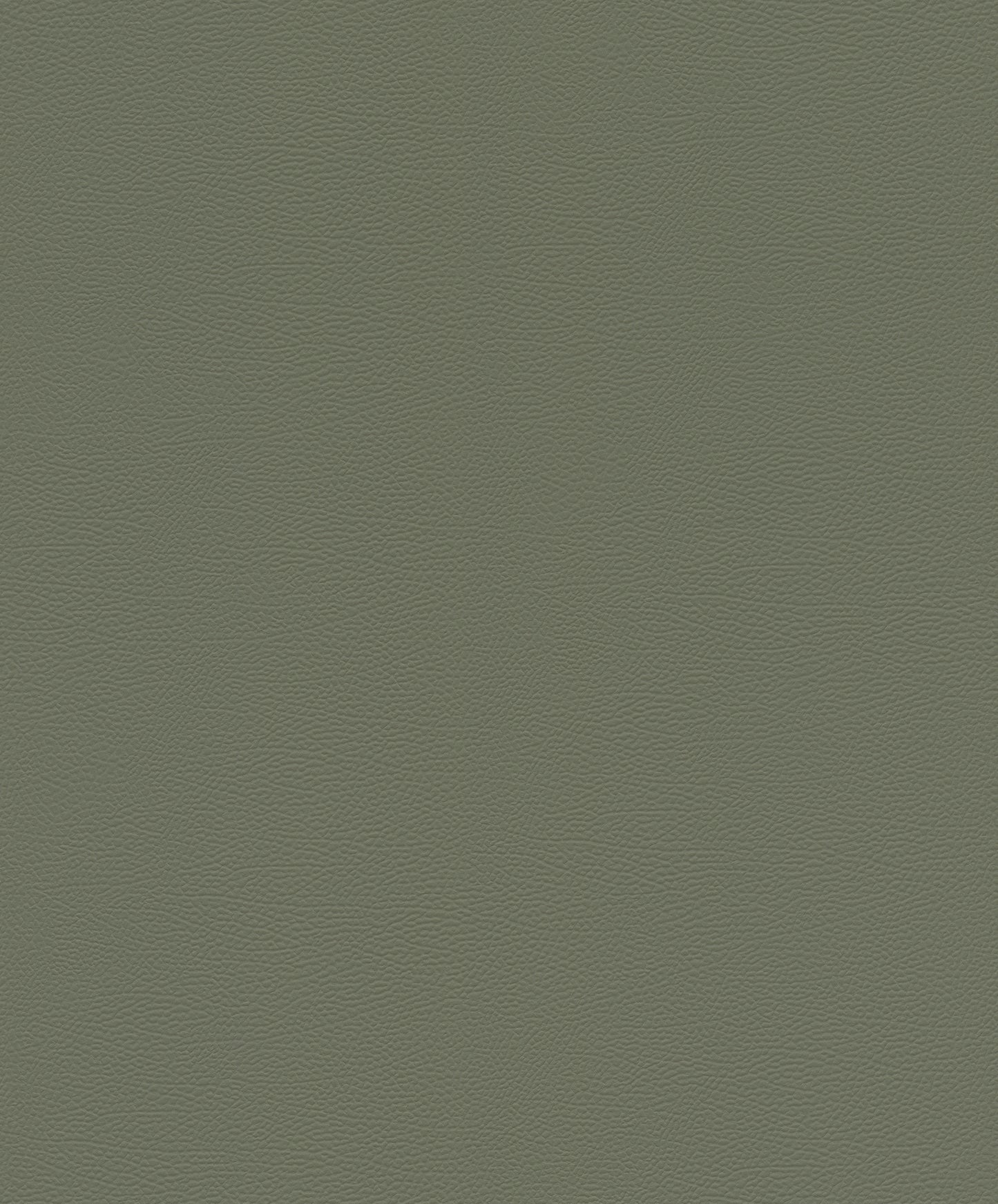 Leather Plain Texture Green
